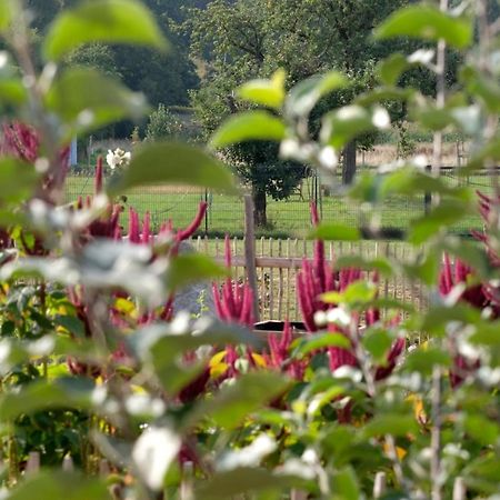 Ferienwohnung Mohnblume Pulzig Bagian luar foto