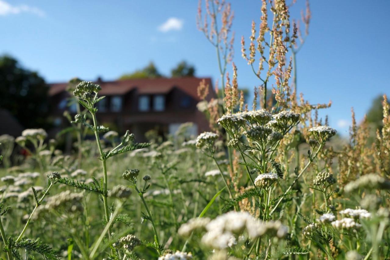 Ferienwohnung Mohnblume Pulzig Bagian luar foto