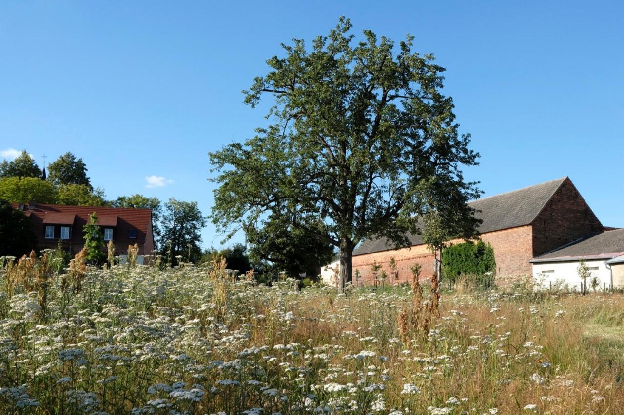Ferienwohnung Mohnblume Pulzig Bagian luar foto