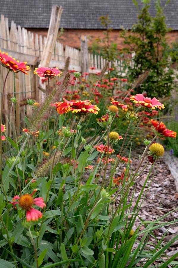 Ferienwohnung Mohnblume Pulzig Bagian luar foto