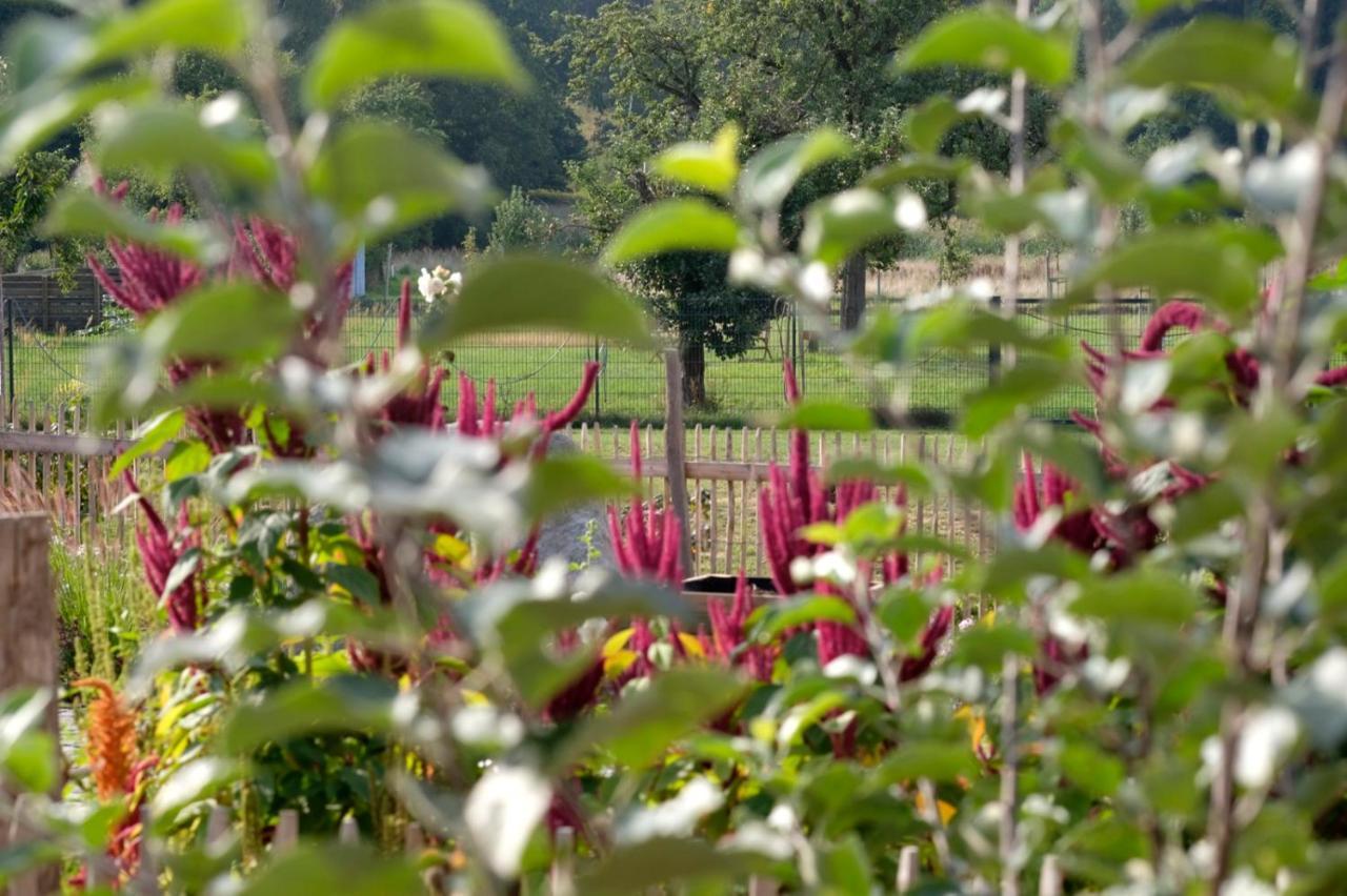 Ferienwohnung Mohnblume Pulzig Bagian luar foto
